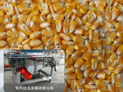玉米直線振動(dòng)篩