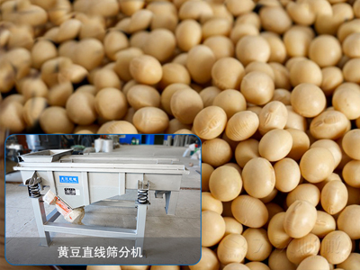 大豆直線篩分機(jī)