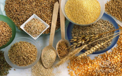 <b>糧食行業(yè)選擇什么樣的振動(dòng)篩比較合適？</b>